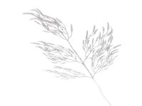 Větvička vánoční stříbrná 65cm